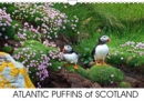 ATLANTIC PUFFINS OF SCOTLAND 2019 : Puffins Calendar - Book