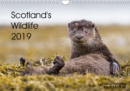 Scotland's Wildlife 2019 2019 : The best of Scotland's iconic wildlife - Book