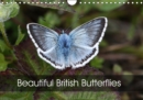Beautiful British Butterflies 2019 : Evoking British butterflies at their finest - Book