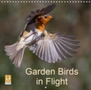 Garden Birds in Flight 2019 : Photographs of garden birds in flight. - Book