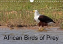 African Birds of Prey 2019 : A selection of African birds of prey - Book