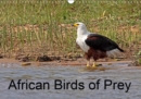African Birds of Prey 2019 : A selection of African birds of prey - Book