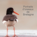 Portraits d'oiseaux de Bretagne 2019 : 12 photographies de proximite d'oiseaux bretons - Book