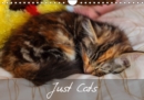 Just Cats 2019 : Cat images for the feline lover - Book