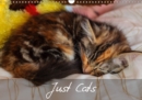 Just Cats 2019 : Cat images for the feline lover - Book