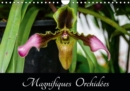 Magnifiques Orchidees 2019 : Belles photographies d'orchidees exotiques - Book