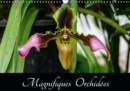 Magnifiques Orchidees 2019 : Belles photographies d'orchidees exotiques - Book