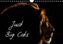 Just Big Cats 2019 : Magnificent Felines from Around the World - Book