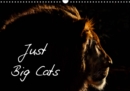 Just Big Cats 2019 : Magnificent Felines from Around the World - Book