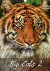Big Cats2 2019 : Magnificent Felines from around the World - Book