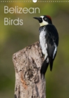 Belizean Birds 2019 : Some of the beautiful birds of Belize - Book