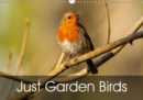 Just Garden Birds 2019 : Beautiful Birds in the UK Garden - Book