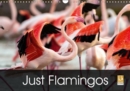 Just Flamingos 2019 : Flamingos - Beautiful and Colourful Waders - Book