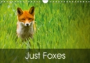 Just Foxes 2019 : Foxes from Around the World - Book