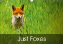 Just Foxes 2019 : Foxes from Around the World - Book