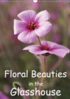 Floral Beauties in the Glasshouse 2019 : Portraits of delicate flowers - Book