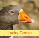 Lucky Geese 2019 : Fowl and Birds - Book