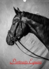 Portraits Equins 2019 : Portraits en noir et blanc de chevaux - Book