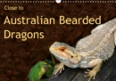 Close to Australian Bearded Dragons 2019 : Fantastic close-up photography of beautiful Australian Bearded Dragons. The big lizards with personalities. - Book