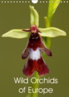 Wild Orchids of Europe 2019 : Beautiful photos of wild orchids found in Europe - Book