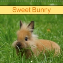 Sweet Bunny 2019 : Rabbits and Pets - Book