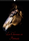 Chevaux en Portraits 2019 : Portraits de chevaux en liberte et studio - Book