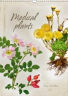 Medical plants 2019 : Medical plants - very impressively shown in the style of old master craftsmen - Book