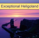 Exceptional Heligoland 2019 : North Sea and Animal - Book
