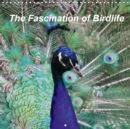 The Fascination of Birdlife 2019 : `the birdlife includes herons, ducks, storks, ostrich, herons and more. - Book