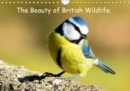 The Beauty of British Wildlife 2019 : 12 Beautiful Wildlife Photos - Book