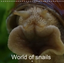 World of snails 2019 : Nature and living - Book