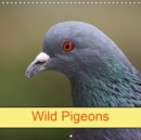 Wild Pigeons 2019 : Bird and Animal - Book