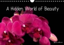 A Hidden World of Beauty 2019 : Welcome to my universe - graphic and rich in colour, full of different visual experiences. - Book