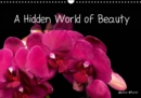 A Hidden World of Beauty 2019 : Welcome to my universe - graphic and rich in colour, full of different visual experiences. - Book