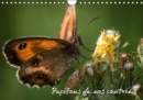 Papillons de nos contrees 2019 : Palette de peintures de la nature - Book