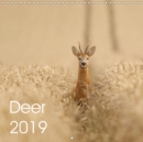 Deer 2019 2019 : Deer in the UK - Book
