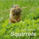 North American Squirrels 2019 : Lively squirrels in the steppes, tundra and mountains of North America - Book