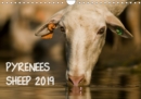 PYRENEES SHEEP 2019 2019 : Sheep have been living for centuries in the Pyrenees,Sheep herds are part of the landscape of these mountains - Book