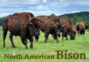 North American Bison 2019 : The Bison or Indian buffalo is the largest mammal on the North American continent. Through the protection of Yellowstone National Park today large herds are prowling again - Book