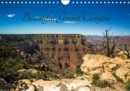 Beautiful Grand Canyon 2019 : Breathtaking views from the rim of the canyon. - Book