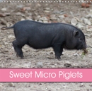 Sweet Micro Piglets 2019 : Young Animal - Book