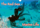 The Red Sea - Marine Life 2019 : Underwater photography from the Red Sea - Enjoy it. - Book