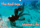 The Red Sea - Marine Life 2019 : Underwater photography from the Red Sea - Enjoy it. - Book