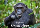 Ugandan Great Apes 2019 : Photographs of wild chimpanzees and mountain gorillas - Book