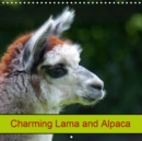 Charming Lama and Alpaca 2019 : Domestic Animal - Book