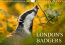 LONDON'S BADGERS 2019 : European badger - Book