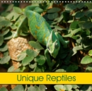 Unique Reptiles 2019 : Snakes, Turtles and Saurians - Book