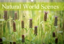 Natural World Scenes 2019 : Images from the natural world. - Book