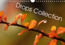 Drops collection 2019 : The wonderful world of small drops - Book