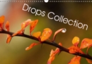 Drops collection 2019 : The wonderful world of small drops - Book